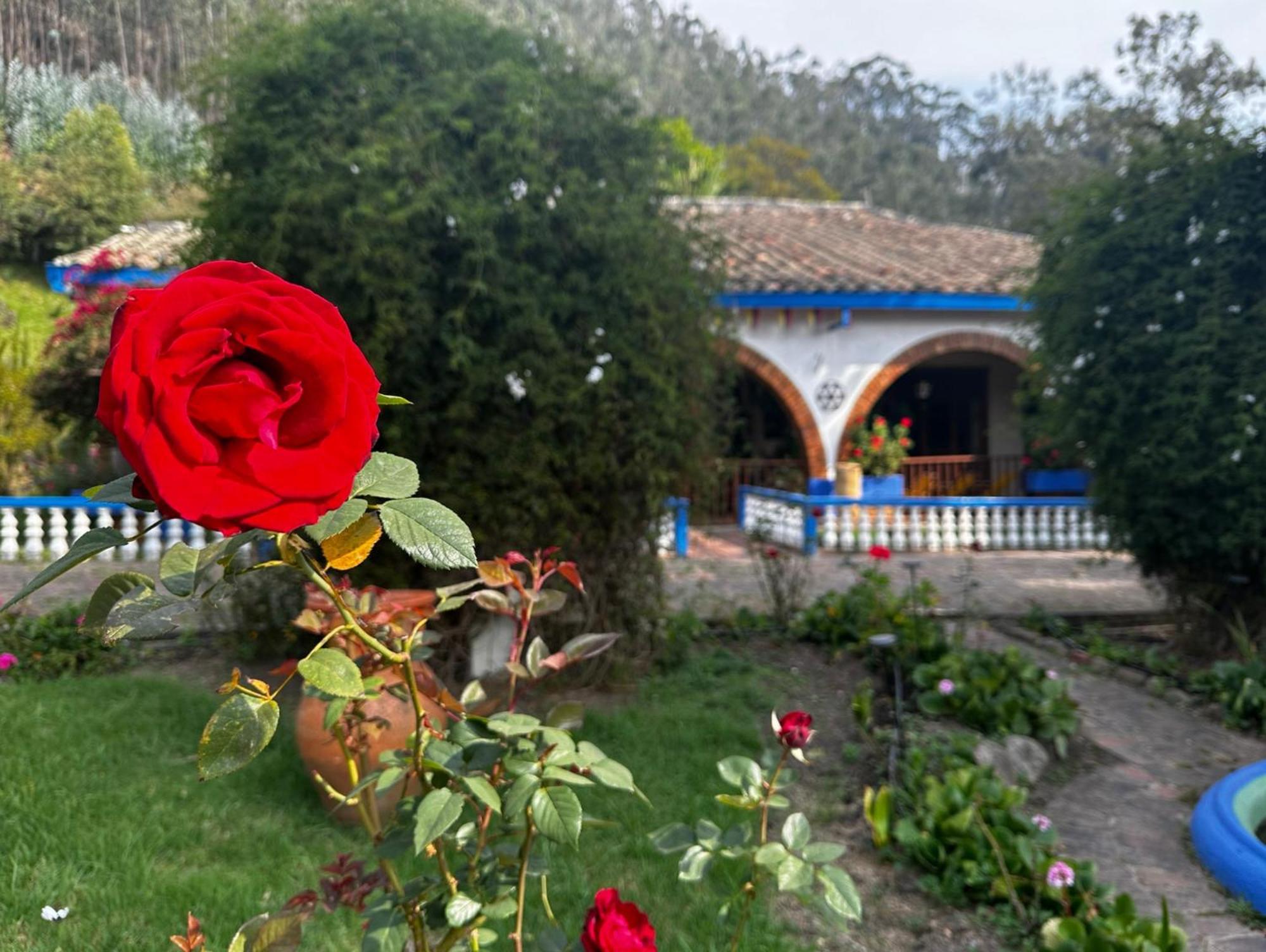 Finca San Pedro -Alojamiento Campestre Y Reserva Natural- Sogamoso Esterno foto