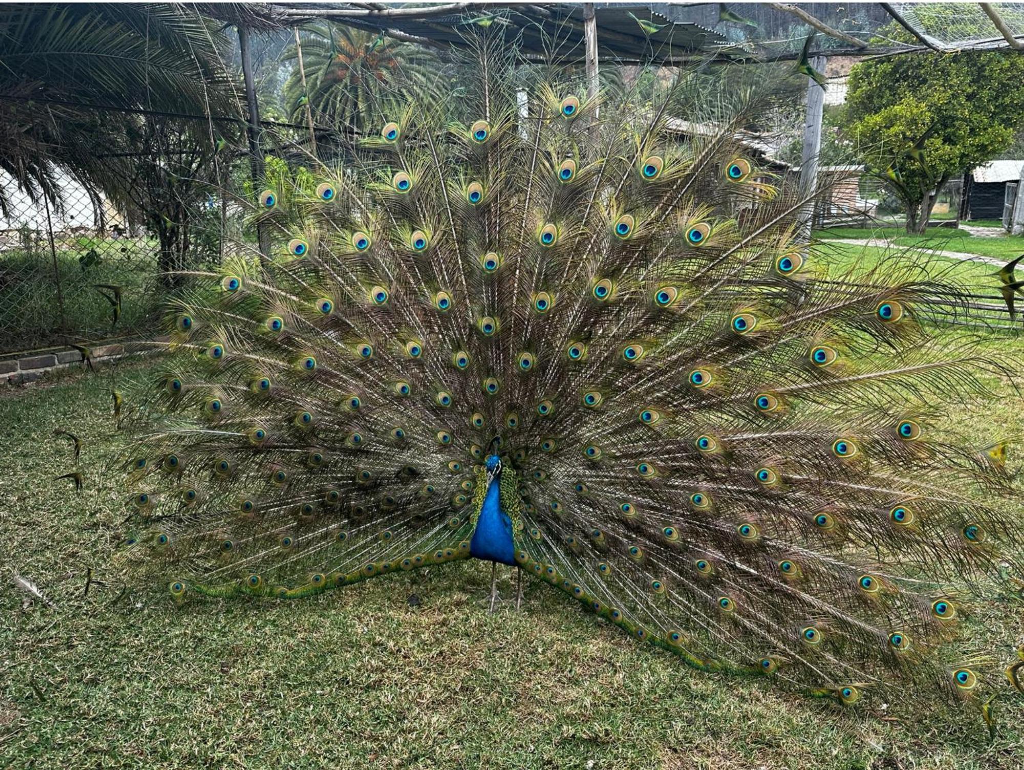 Finca San Pedro Ostello Sogamoso Esterno foto