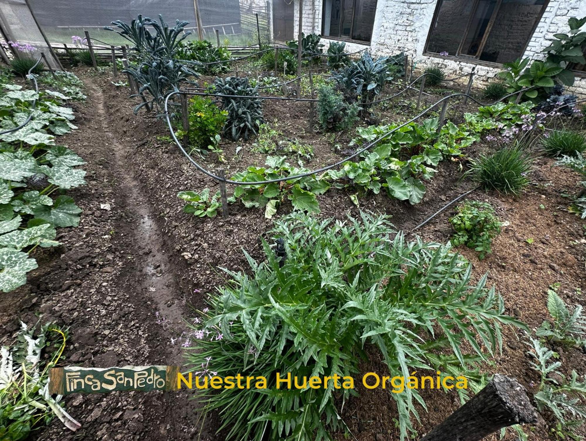 Finca San Pedro Ostello Sogamoso Esterno foto