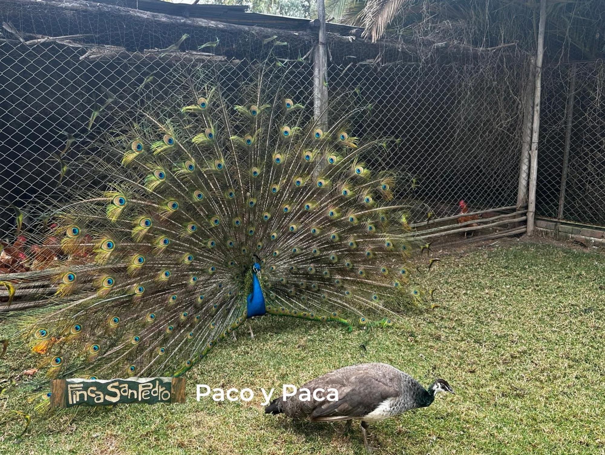 Finca San Pedro Ostello Sogamoso Esterno foto